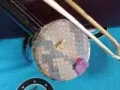 烏木贝雕高胡(潮卅单筒提胡)