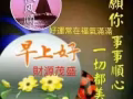 餐馆 聘请
