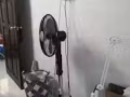 电风扇， 果汁机，烤箱，玻璃罐 超低价出售