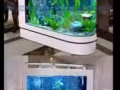 精美魚缸廉價出售！