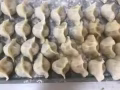 山东威海纯手工水饺，欢迎老铁们的选购，味道鲜美，免费送到MRT
