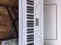 CASIO LK-247电子琴，100新币出