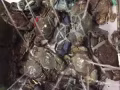 急找工作