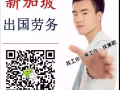专业办理新加坡工作，您想要的工作我都有，快来咨询   微信464900307