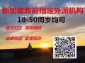 政府指定外派機構 覆蓋全島  18-50周歲均可