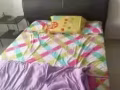 大普通房出租