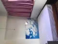 建安公寓房间＄750～＄1100