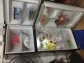回國甩賣冰箱，50自取，海軍部