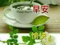 东海岸及实龙岗聘请早班pr新加坡人女按摩师