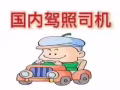 中国驾照司机