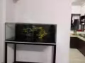 龍魚缸