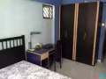552 巴西立 51 街