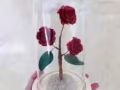 ?水晶玫瑰花?