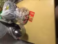 本人有床。椅子。沙发床。L沙发和各种小桌子。便宜出卖。