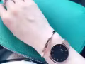 DW手表 阿尼玛手表 正品