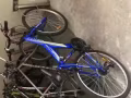 剛剛買一個月的新自行車回國低價賣了