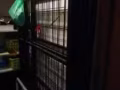 两架铁架床，全新没有用50新币！