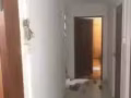 Woodlands 大牌546 5房式组屋整套出租 （非中介