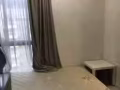 Liv on Wilkie Studio to Rent