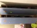便宜处理