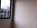 专业墙纸墙布油漆
