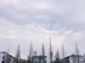 求点厂里工作，公司直招