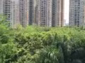 达曼裕廊175，新房，$600-750,水电网，空调，可报地址，人少，清净