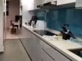 新裝修普通房出租
