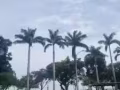 求工作，廠里的都可以，中介勿擾