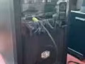 出售二手acer台式機