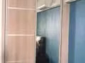 专业的全屋装修服务了