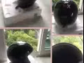 閒置頭盔，便宜出售