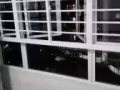 义顺单间