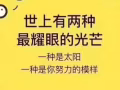 IT英才你们在哪儿