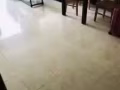 出租房