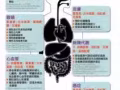 身体全方位的营养素