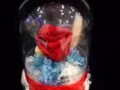 永生花 永不凋谢的花