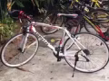 九成新跑车