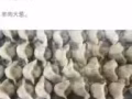 山东威海纯手工水饺，欢迎大家的光临，免费送到地铁站，200粒送货上门，
