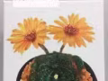 来看有你喜欢的画吗？全部特价哦