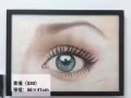 来看有你喜欢的画吗？全部特价哦