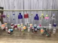 幼儿园招聘教师 公司直招