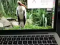 出售2016年底买MACBOOK  PRO, 非诚勿扰
