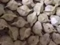 山东威海纯手工水饺，欢迎大家来光临，免费送到MRT，200粒送货上门，