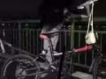 凤凰牌自行车