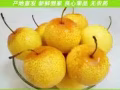 收11?️26號金沙兩間、