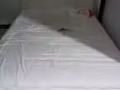 單人木床鐵床多個 雙人床，需要的聯絡我