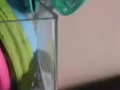 魚缸出售