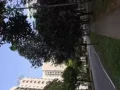 裕廊西 613高级组屋超级漂亮大主人房出租（房东不同住，可大煮）