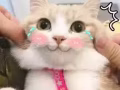 喜歡小鮮肉的姐姐進來看看 男士勿擾